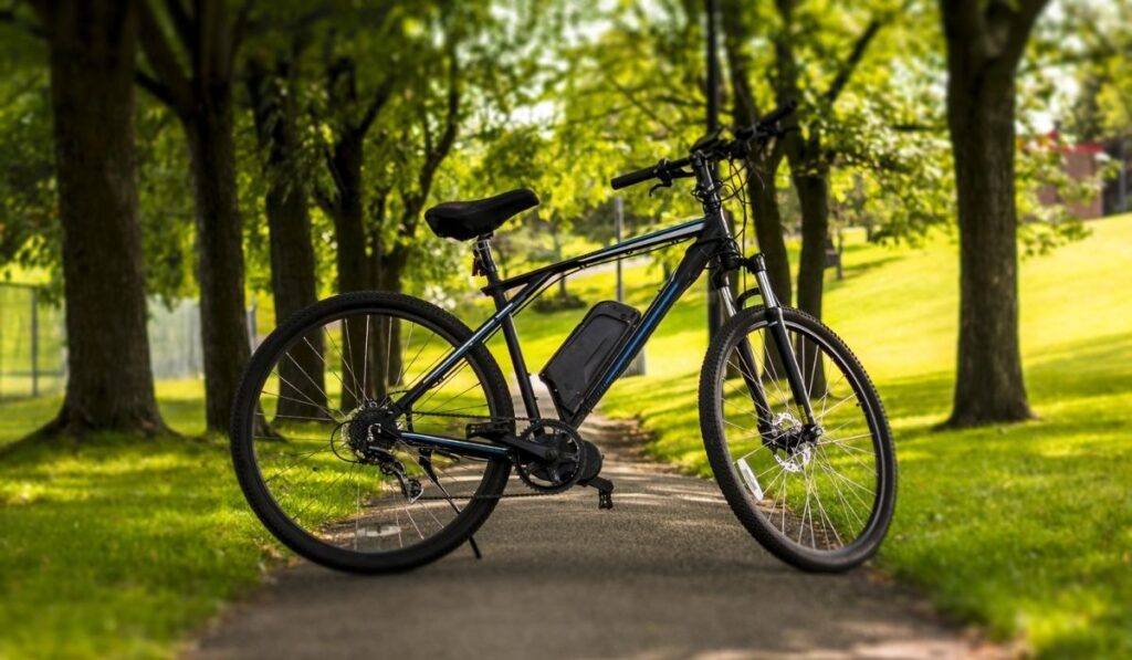 Electric bicycle in a park on a sunny day